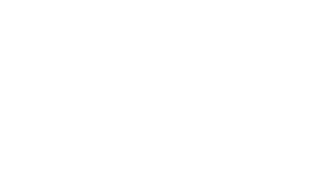 Brooks Region Logo in white