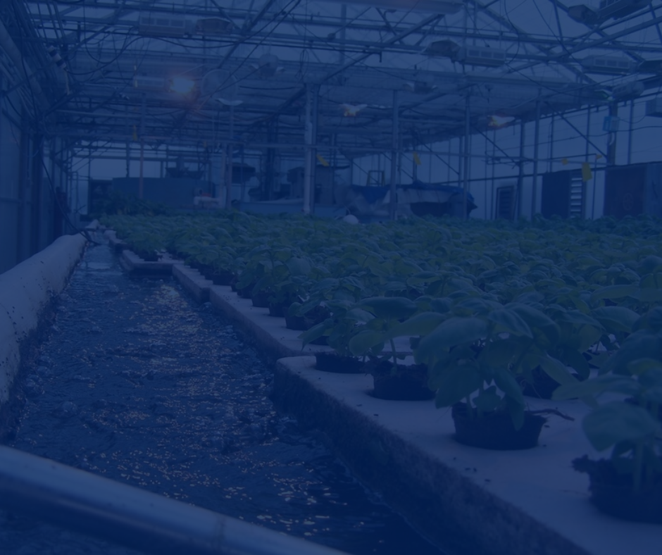 Crop Diversification Centre Revitalization