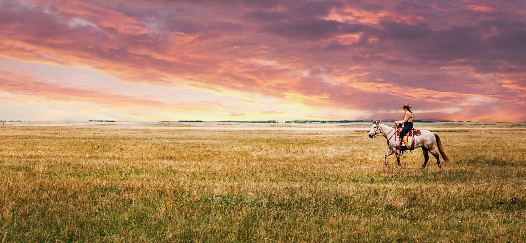 cowgirl on horse in prairie field with amazing sunset